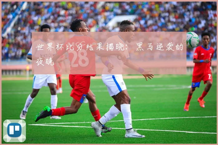 世界杯比分结果揭晓:黑马逆袭的夜晚