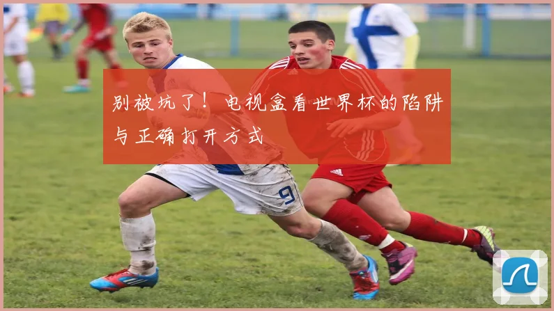 别被坑了！电视盒看世界杯的陷阱与正确打开方式