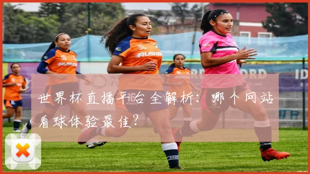 世界杯直播平台全解析:哪个网站看球体验最佳?