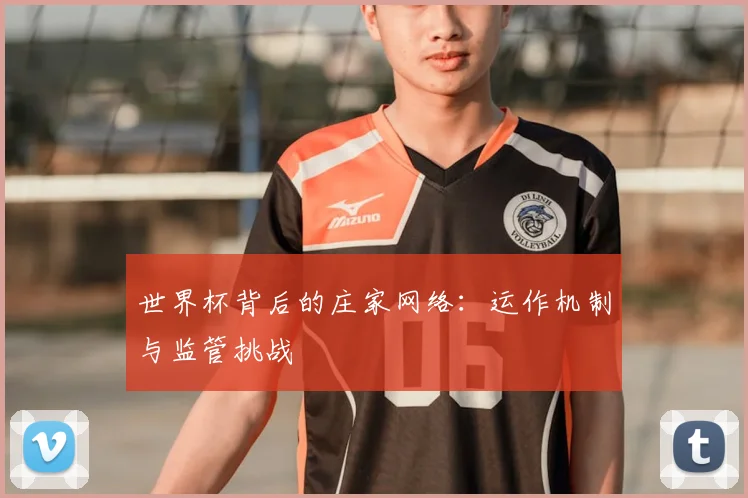 世界杯背后的庄家网络：运作机制与监管挑战