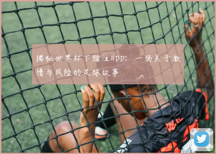 揭秘世界杯下赌注app：一场关于激情与风险的足球故事