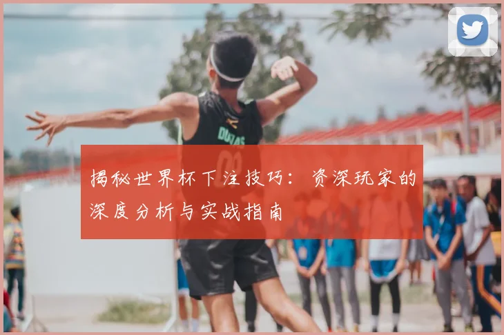 揭秘世界杯下注技巧：资深玩家的深度分析与实战指南
