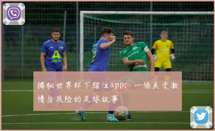 揭秘世界杯下赌注app：一场关于激情与风险的足球故事