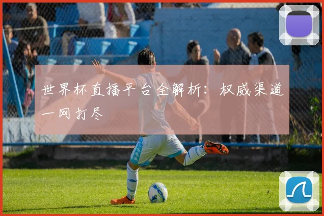 世界杯直播平台全解析:权威渠道一网打尽