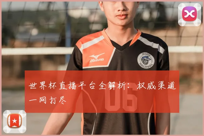 世界杯直播平台全解析:权威渠道一网打尽