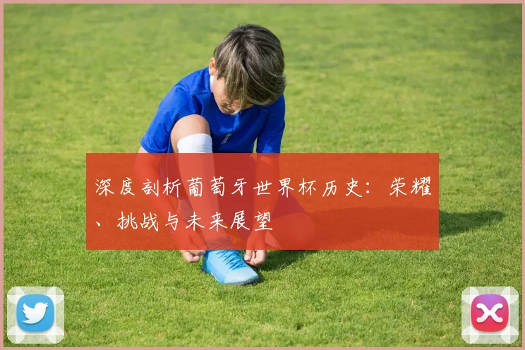 深度剖析葡萄牙世界杯历史：荣耀、挑战与未来展望