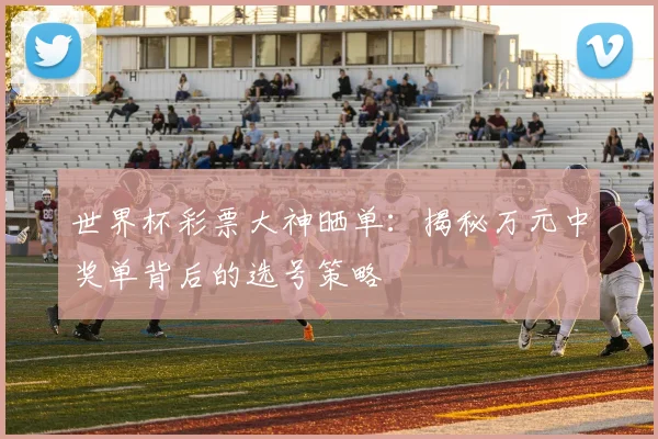 世界杯彩票大神晒单：揭秘万元中奖单背后的选号策略
