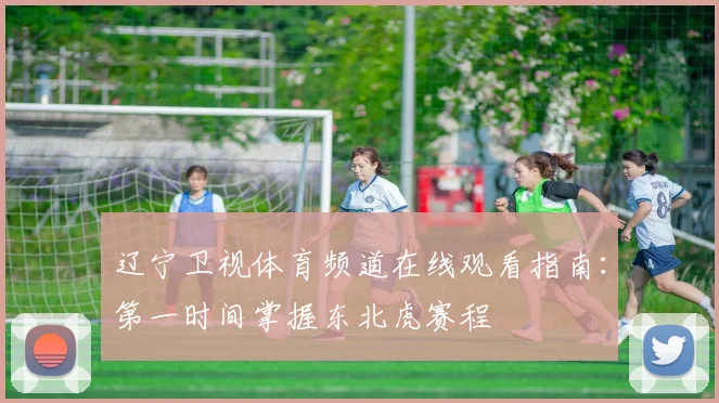 辽宁卫视体育频道在线观看指南：第一时间掌握东北虎赛程