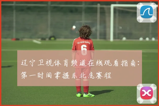 辽宁卫视体育频道在线观看指南：第一时间掌握东北虎赛程